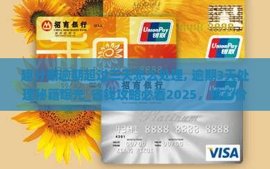 趣分期逾期超过三天怎么处理