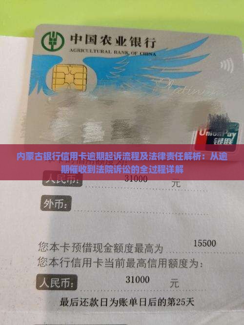内蒙古银行信用卡逾期起诉流程及法律责任解析