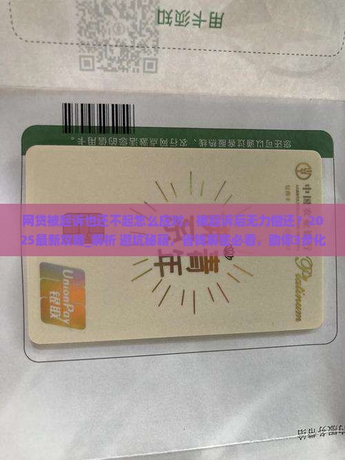 网贷被起诉也还不起怎么应对