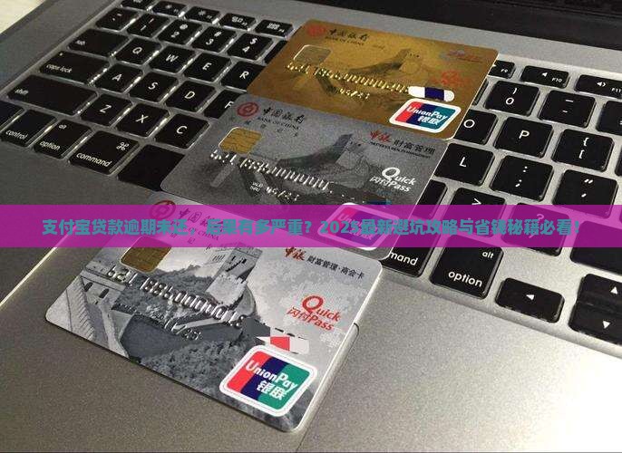 支付宝贷款逾期未还后果