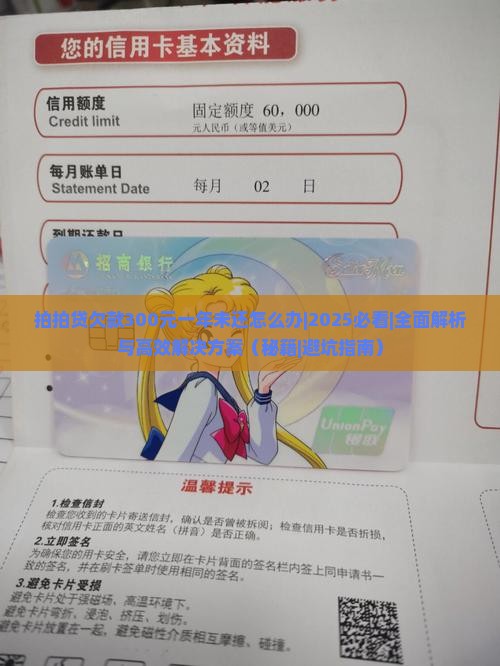 拍拍贷欠款300元一年未还怎么办 拍拍贷欠款300元一年未还怎么办