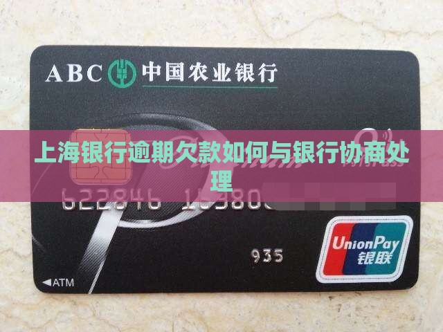 上海银行欠款逾期如何咨询处理