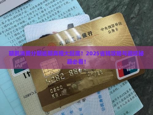 胡鹏消费分期重度逾期案