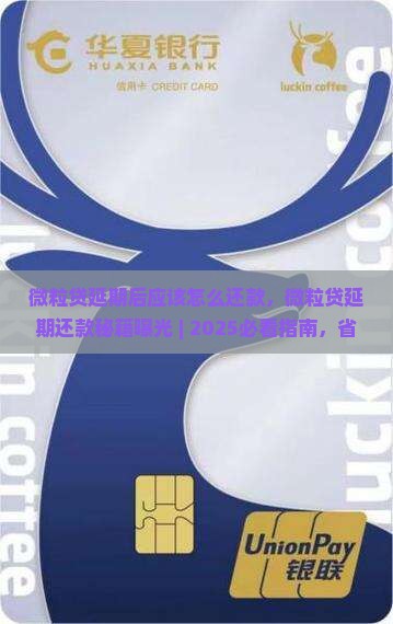 微粒贷延期后应该怎么还款