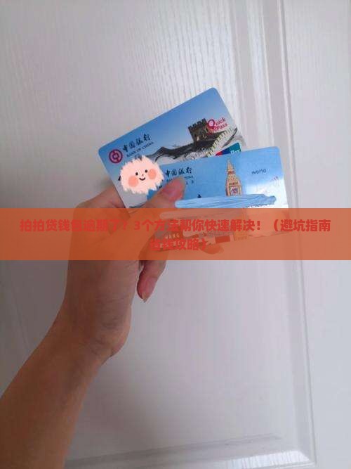 拍拍贷钱包逾期了怎么办