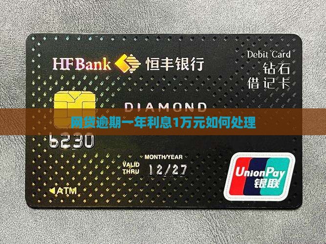 网贷逾期一年利息1万元如何处理