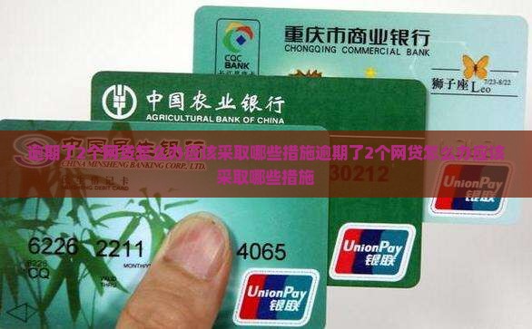 逾期了2个网贷怎么办应该采取哪些措施