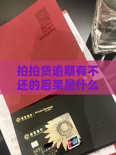 拍拍贷逾期有不还的后果是什么