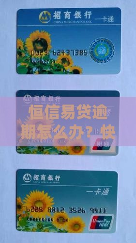 恒信易贷逾期