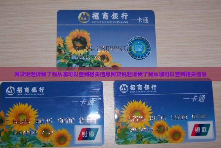 网贷说起诉我了我从哪可以查到相关信息