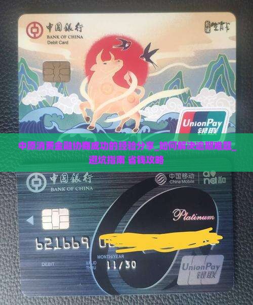 中原消费金融协商成功的经验分享