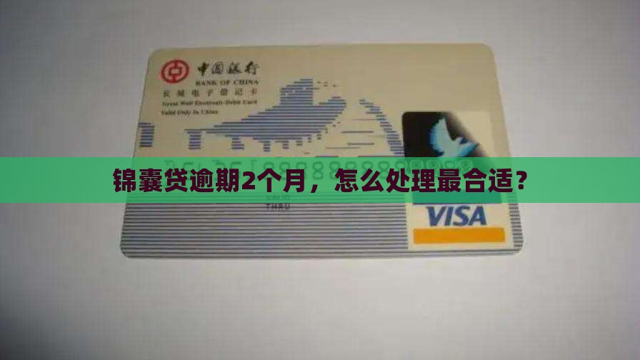 锦囊贷逾期2个月应该怎么处理