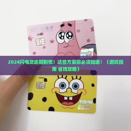 2024闪电贷逾期方案详解