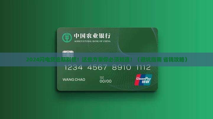 2024闪电贷逾期方案详解