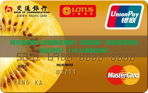 网贷逾期多久才能催收如何操作