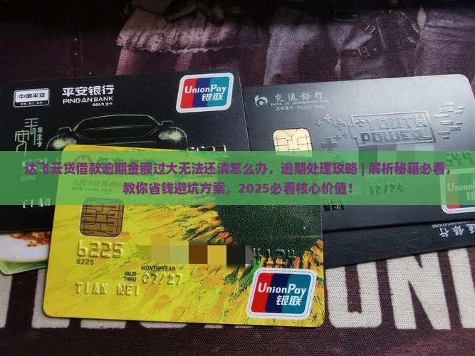达飞云贷借款逾期金额过大无法还清怎么办