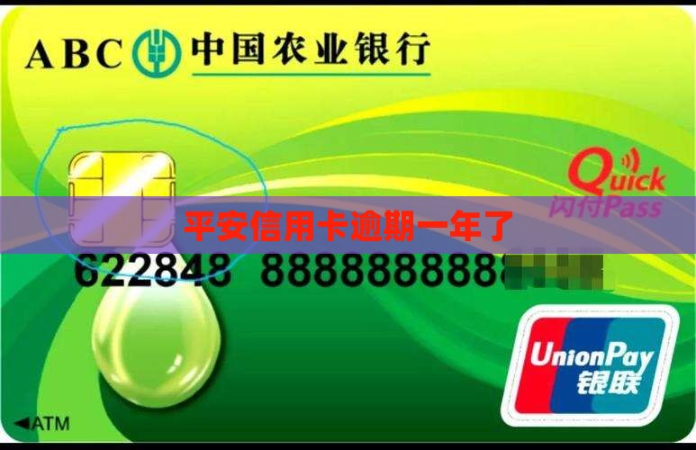 平安信用卡逾期一年了