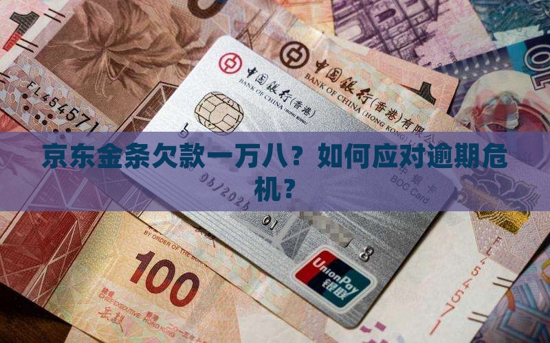 京东金条欠款一万八