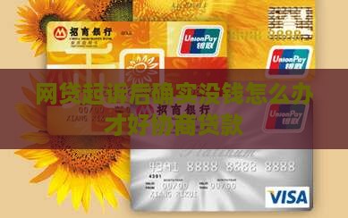 网贷起诉后确实没钱怎么办才好