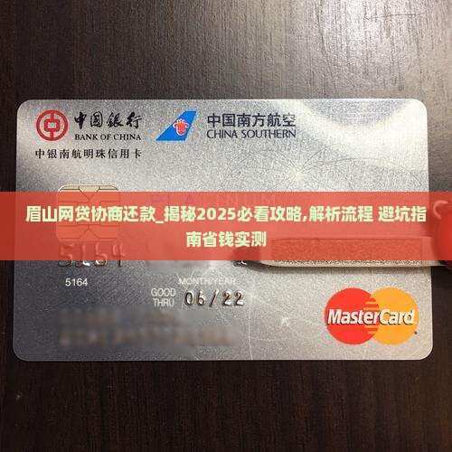 眉山网贷协商还款的具体步骤和注意事项
