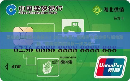 网贷逾期被列入失信人