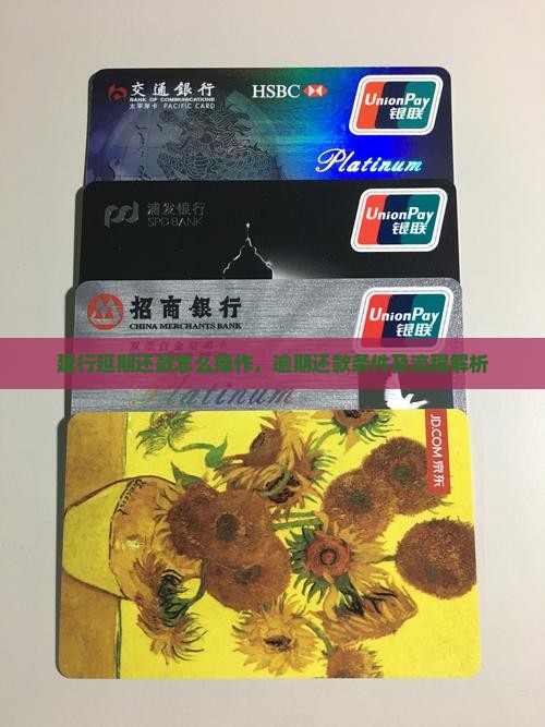 建行惠懂你延期还款条件及流程解析
