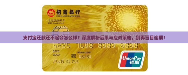 支付宝还款还不起会怎么样