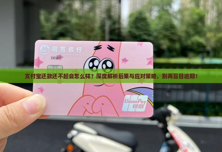 支付宝还款还不起会怎么样