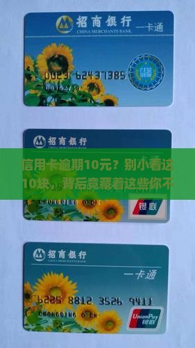 信用卡逾期10元怎么处理