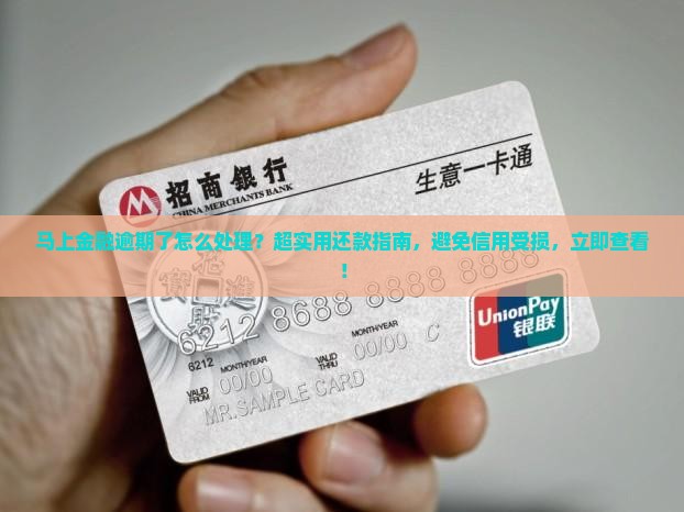 马上金融逾期了怎么处理