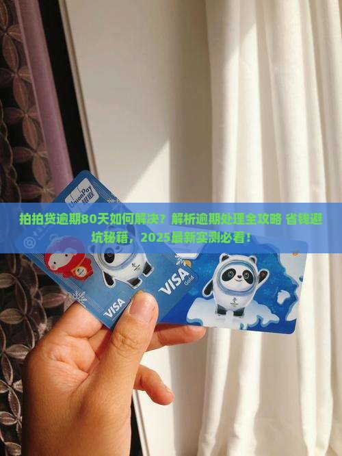 拍拍贷逾期80天如何解决