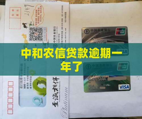 中和农信贷款逾期一年了