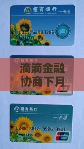 滴滴金融协商下月还款方式