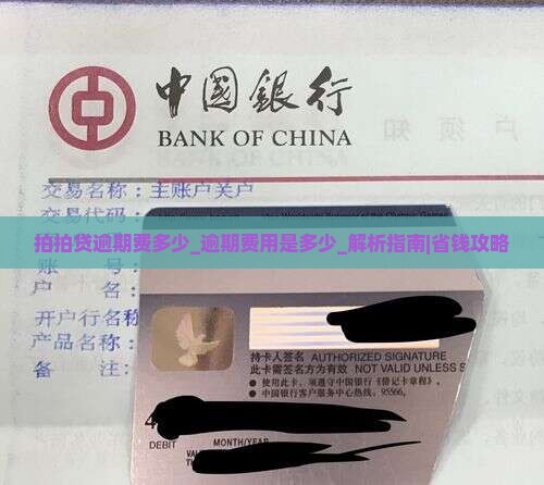 拍拍贷逾期费多少逾期费用是多少