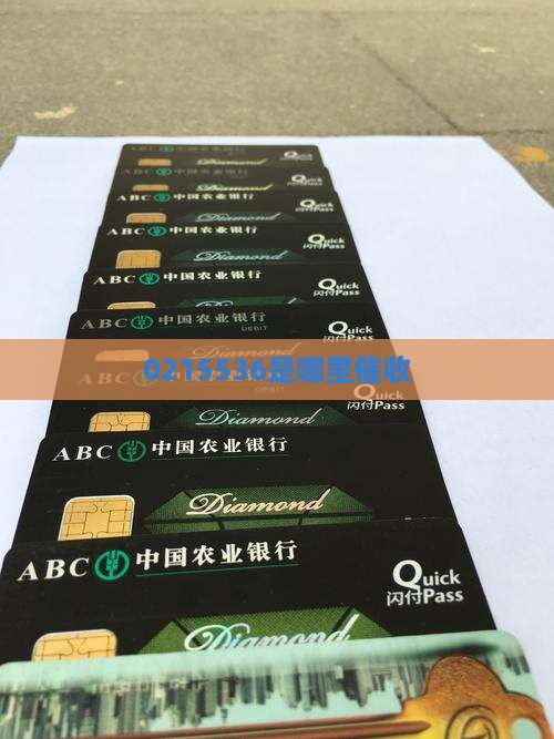 0215536是哪里催收