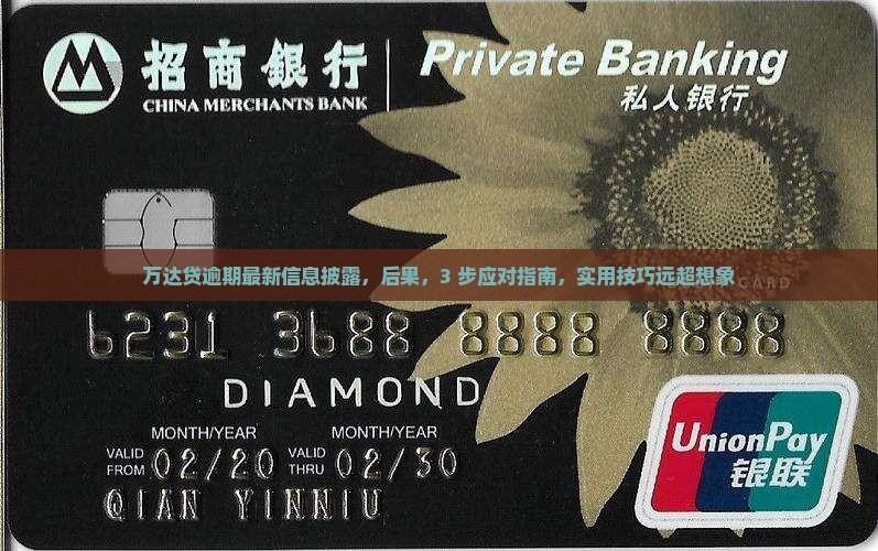万达贷逾期最新信息披露