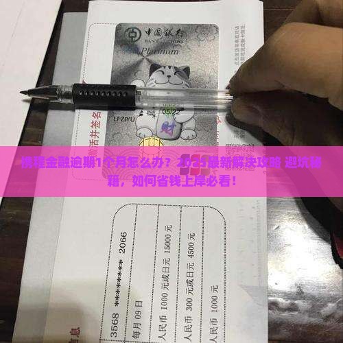 携程金融逾期1个月如何解决