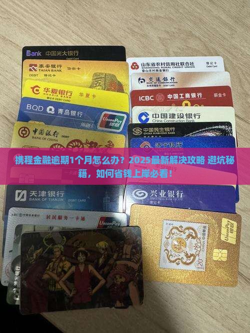 携程金融逾期1个月如何解决