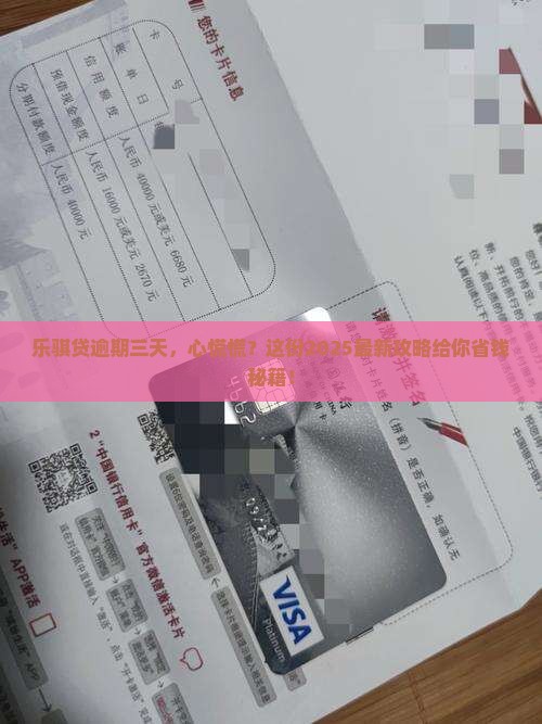 乐骐贷逾期三天了应该怎么办