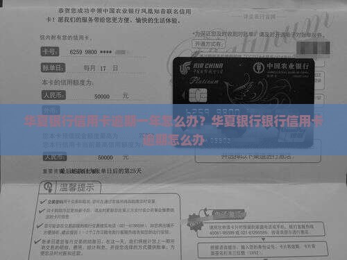 华夏银行信用卡逾期1年怎么办