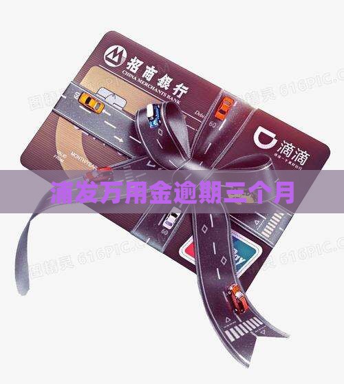 浦发万用金逾期三个月
