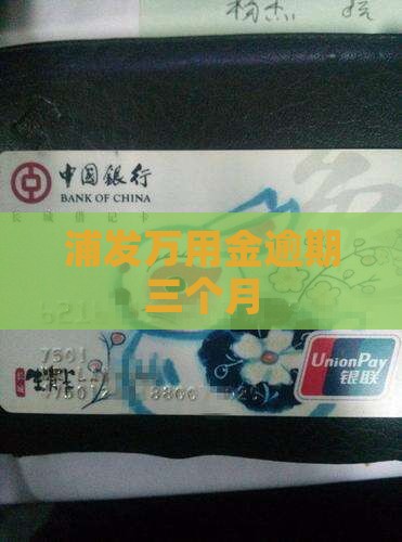浦发万用金逾期三个月
