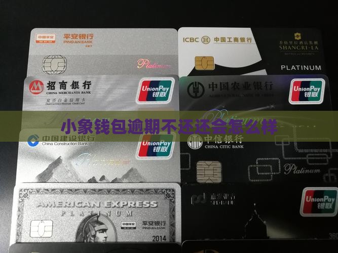 小象钱包逾期不还会怎么样