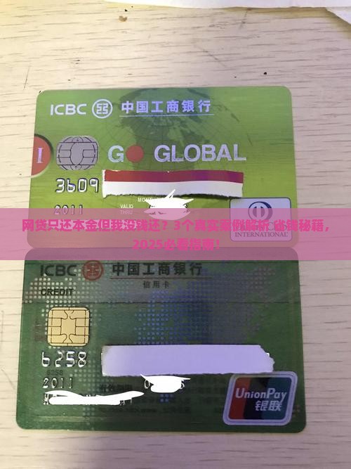 网贷只还本金但是我无力偿还怎么办