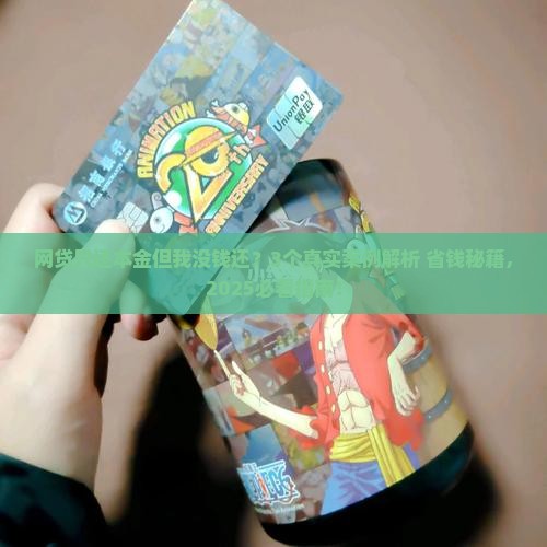 网贷只还本金但是我无力偿还怎么办