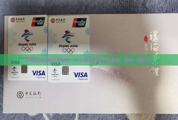 闪电借款逾期还款记录如何处理