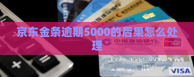 京东白金条逾期5000的后果及如何处理