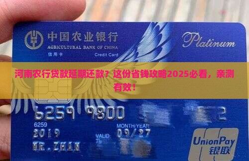 河南农业银行贷款延期还款申请