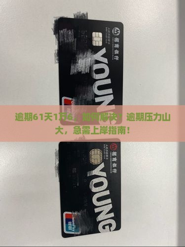 微粒贷逾期61天1万6如何解决