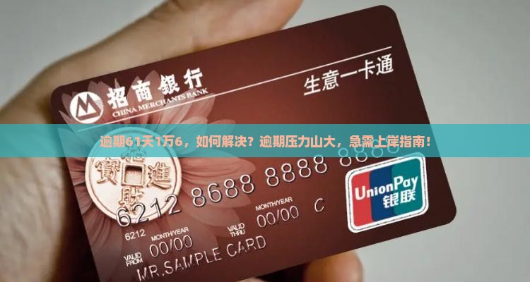 微粒贷逾期61天1万6如何解决